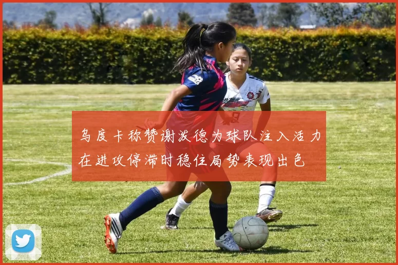 乌度卡称赞谢泼德为球队注入活力在进攻停滞时稳住局势表现出色