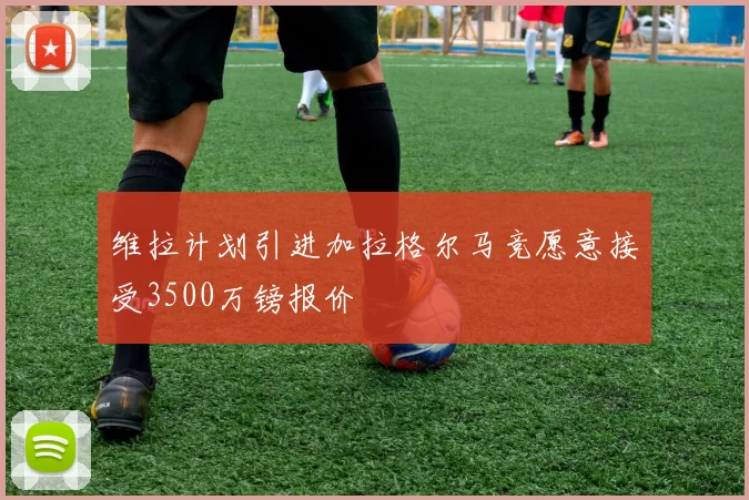 维拉计划引进加拉格尔马竞愿意接受3500万镑报价